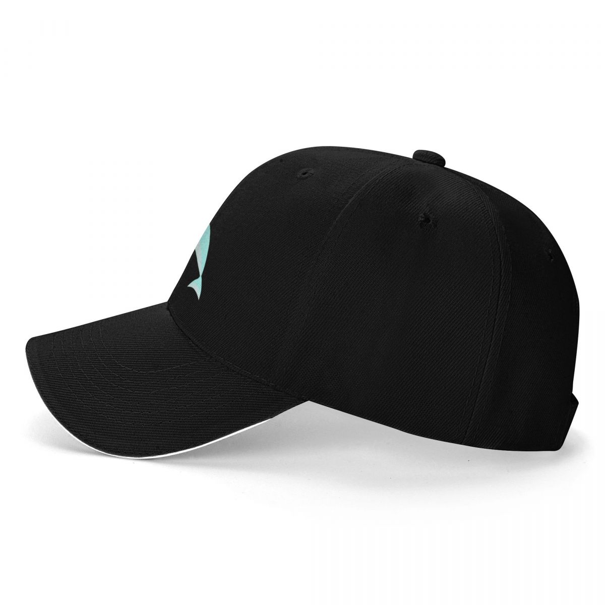 Dolfin Baseball Cap Streetwear - đánh giá và giá Streetwear Brand Bag